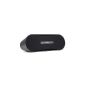 Creative D100 portable Bluetooth speaker for smartphones and tablets (eg iPhone, iPad) (Electronics)