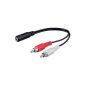 Wentronic Audio / Video cable (3.5mm stereo to 2x clutch RCA plug) 0.2 m (accessories)