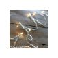 Garland Light Cells with 10 LED Warm White of Lights4fun (Kitchen)