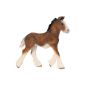 Schleich 13736 - Shire Foal (Toys)