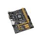 Asus H81M-E Haswell motherboard socket 1150 (Micro-ATX, Intel H81, 16x PCIe, DDR3 memory, SATA III) (Accessories)