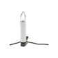 Idena 8582169 - Candle Light chain 30 for indoor (household goods)