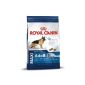 Royal Canin Maxi Adult, 5+, 15 kg 1er Pack (1 x 15 kg Package), dog food (Misc.)