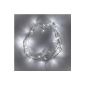 Garland Light Indoor 40 LED White on cable Transparent (Kitchen)