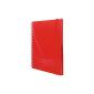 Avery 7031 Plastic Cover Notebook notizio, double spiral, checkered, DIN A5, 90 g / m², 90 sheets, red (Office supplies & stationery)