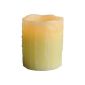 Best Season LED light candle with real wax, flickering 066-24 (household goods)