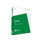 Microsoft Excel 2013 (CD-ROM)
