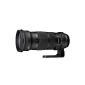 Sigma 120-300 mm F2.8 lens (DG OS HSM, 105 mm filter thread) for Nikon lens mount (Electronics)