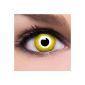A colored contact lens with strength 'Avatar' yellow + Free lens case, 1 piece / BC 8.6 mm / DIA 14.5 / -1.00 to -5.00 diopters (Personal Care)