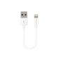 deleyCON 0.15m [Apple MFI certified] iPhone Lightning to USB Cable / sync cable / charging cable / data cable - white - USB to 8 pin Lightning cable - for Apple iPhone 6 Plus / 6 / 5s / 5c / 5, iPad Air / mini / mini2, iPad 4/3, iPod touch 5th, iPod nano 7th generation (electronic)