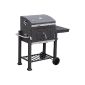 A super grill and Identical bestseller "Tepro Toronto"