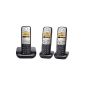 Siemens Gigaset A400 Trio Cordless DECT phone / GAP-Silver / Black (Electronics)