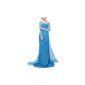 Dreamlike Elsa costume at an affordable price