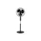 Klarstein Black Blizzard Fan 2G simple pedestal fan with 3 power levels (large 41cm blade, 90 ° oscillation-pan function, energy-efficient 50 Watt, quiet, fan head 20 ° tilt) black (household goods)