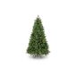 Snowtime CT05074 Artificial Christmas Manitoba Spruce Hinged Tree Slim 210 cm (household goods)