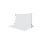 300 x 300 cm Photo Studio background chromakey green screen in White (Electronics)