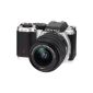 Pentax K-01 SLR Digital Camera (16 Megapixel, 3x opt. Zoom, 7.6 cm (3 inch) screen, full HD video, image stabilized) incl. 18-55mm lens silver / black (Electronics)