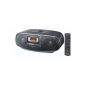 Panasonic RX-D55 Radio / Clock Radio CD MP3 USB (Electronics)
