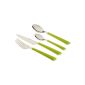 Esmeyer 199-427 cutlery Jane 18/0 polished, 24-section with plastic handles, green in photo gift box with window (household goods)