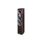 Heco Victa 700 Anniversary Edition 3-way bass reflex tower speaker rosewood (piece) (Electronics)