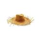 Straw hat with braided fringes One Size