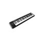 Alesis Q49 / 1801143 Master Keyboard USB / MIDI 49 keys (Electronics)