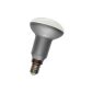 Asuntec professional LED Quality Longlife wide beam, form R50;  5Watt;  E14, warm white-matt-blendungsarm, with Swiss Quality Check, (New design - -replacement 55W bulb)
