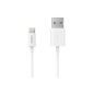 [Apple MFi certification] Lightning to USB Cable Extra Short Anker 30 cm, Tangle with ultra compact connectors - Compatible with iPhone, iPad & iPod (White) (Electronics)