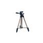 Delamax tripod Travel Travel Tripod with Quick Release Plate (Electronics)