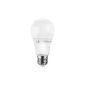 Replacement for 100W bulb soft tone