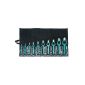 GEDORE wad punch-set, 10-piece, 570303 (tool)