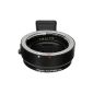 Fotodiox Pro EOS Canon EF lens adapter for Sony Alpha NEX E-Mount Integrated Automatic functions (Electronics)
