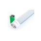 Show Lite LED Tube 150cm (1500mm fluorescent tube, T8 G13, 2136 lumens, 4500 Kelvin, daylight white, power: 24W)