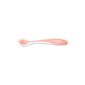 Nuby Spoon - Set of 2 spoons with Bord Doux in thermosensitive Tpe 4 Months (Baby Care)