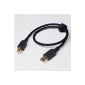 NuForce LF pulse-USB 0.5 USB Adapter for digital audio application (USB A male to USB B plug, 0.5m) (Accessories)
