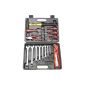 Famex 290-50 Compact Tool Kit For car and home (Germany Import) (Tools & Accessories)