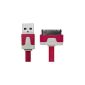 Cable flat usb transfer of data quick charger for iPhone 4, 4S, 3, 3G, 3GS / iPod Touch / iPad 1.2, (Red) (Electronics)