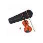 Ts Ideas 1400 4/4 Violin Violin nature as a set with suitcase form rosin + horsehair bow (Electronics)