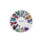 Carousel Premium Professionelles Decorations Nail Art - Stones Jewelry Strass Crystal 4mm 12 Different Colors by VAGA® (Miscellaneous)