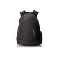 Dakine Backpack 101 Uni Pack (equipment)
