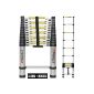Telescopic Ladder 3m80 STEPOMAX + Carrying Case - Standard EN131 (Tools & Accessories)