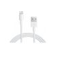 100% original Lightning USB Data Cable for Apple original MD818 FE / A Cable Charging Cable for iPhone 6, 6 plus Iphone, Iphone 5 / 5S, iPad Mini, In Super Socks (Electronics)