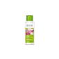 Lavera Repair Care Shampoo, 200 ml (Personal Care)