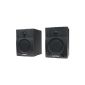 Samson MediaOne BT4 Multimedia speakers with Bluetooth Receiver (Electronics)