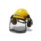 McCulloch 00057-76.165.16 Forest helmet, PRO016 (tool)