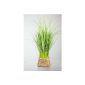 Art plant tussock green / yellow in the basket 45 cm