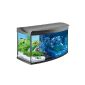 Tetra 174,610 AquaArt Evolution Line Aquarium Complete Set 100 L, modern design in conjunction with high-quality technology (Misc.)