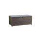 Keter 17198359 cushion box Brightwood, imitation wood, plastic, taupe, 455 liters (garden products)