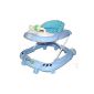 DURATION OF LEARNING SUPPORT trotter trotter trotter Walker Baby Car #B (Baby Care)