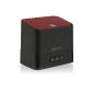 Speedlink Token Active Wireless Bluetooth V3.0 speakers (3 watts RMS, 4 hours battery life, multipoint capability, speakerphone) (Electronics)